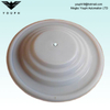 108839 HUSKY716 HUSKY515 VA15 VA20 PTFE Membrane D53211 Pumple de peinture Pumps DiAmphragm