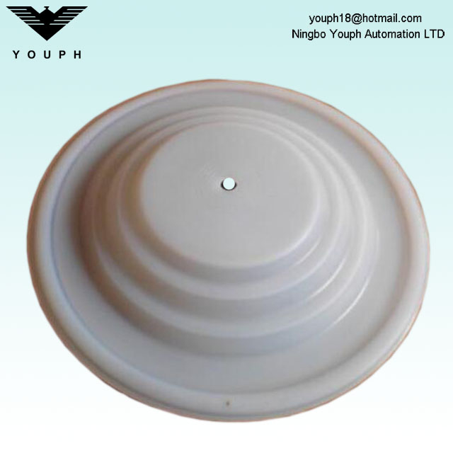 108839 HUSKY716 HUSKY515 VA15 VA20 PTFE Membrane D53211 Pumple de peinture Pumps DiAmphragm