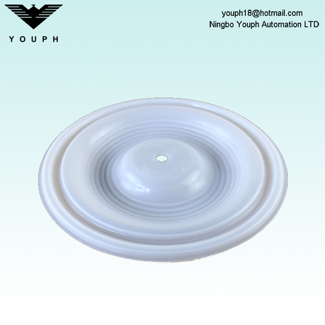 Wilden 01-1010-55 01-1060-51 Menbrane de pompes de diaphragme p1