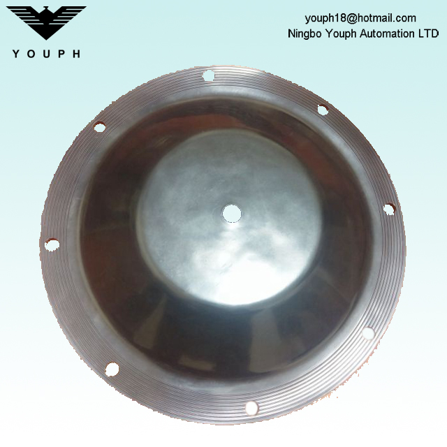  Sable 3 pouces 286-098-360 286-098-365 S30 Pumps à diaphragme métallique