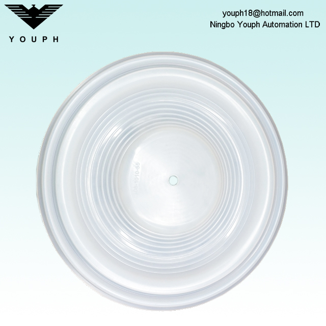 08-1010-55 Diaphragm PTFE de 2 'Pompe pneumatique sauvage P8 T8 Série 08.1010.55