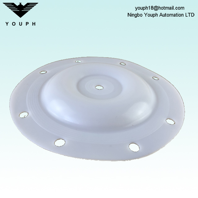 E505TF Versa-Matic 1/2 pouce diaphragm PTFE 