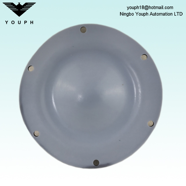 11503167 Partie diaphragme du composé PTFE / EPDM pour les pompes de série Almatec E15 E15TTT