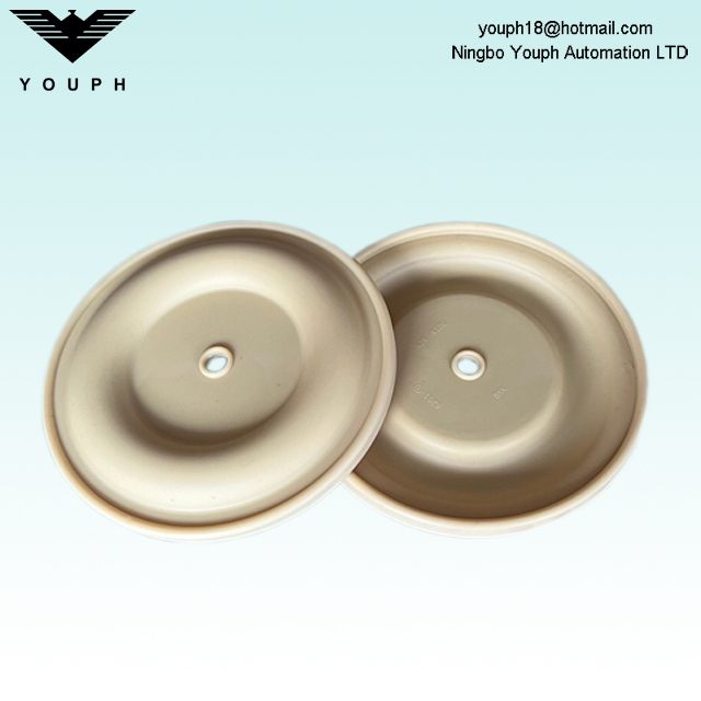 BSK Santoprene Diaphragm 6201-1 BA25AL BA25 BSK-25 Pompes à diaphragm ACCESSOIRES DIAMER UNE COMPRISE 180 mm