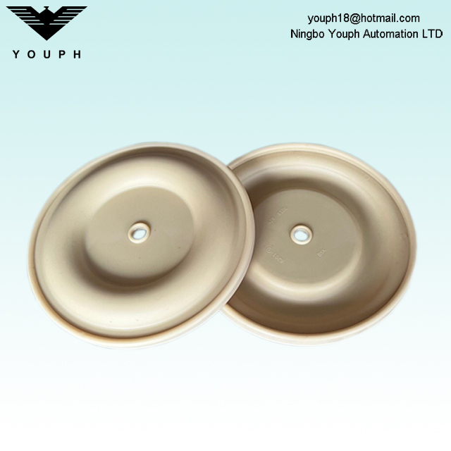 BSK Santoprene Diaphragm 6201-1 BA25AL BA25 BSK-25 Pompes à diaphragm ACCESSOIRES DIAMER UNE COMPRISE 180 mm