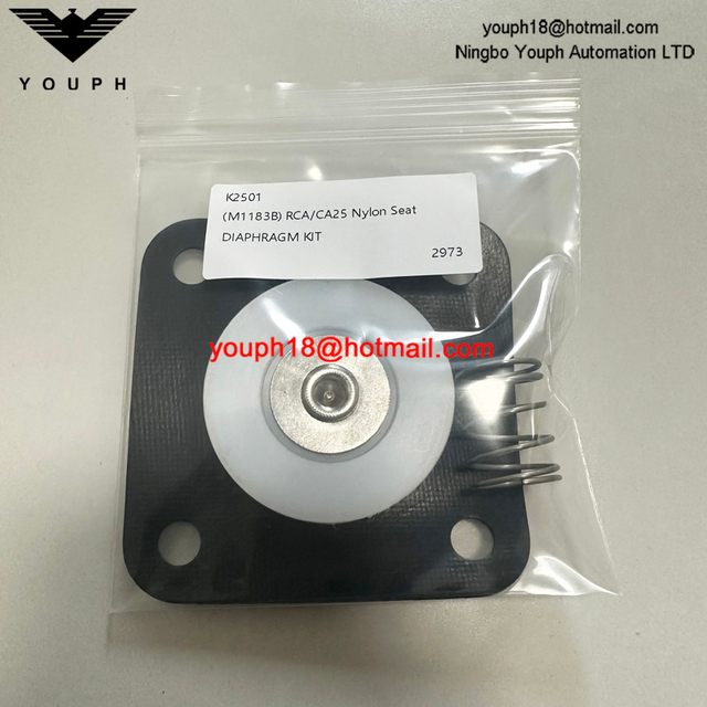 GOYEN K2501 M1183B CA25T RCA25T CA25DD2 Valve de vanne Buna Diaphragm Repait Kit