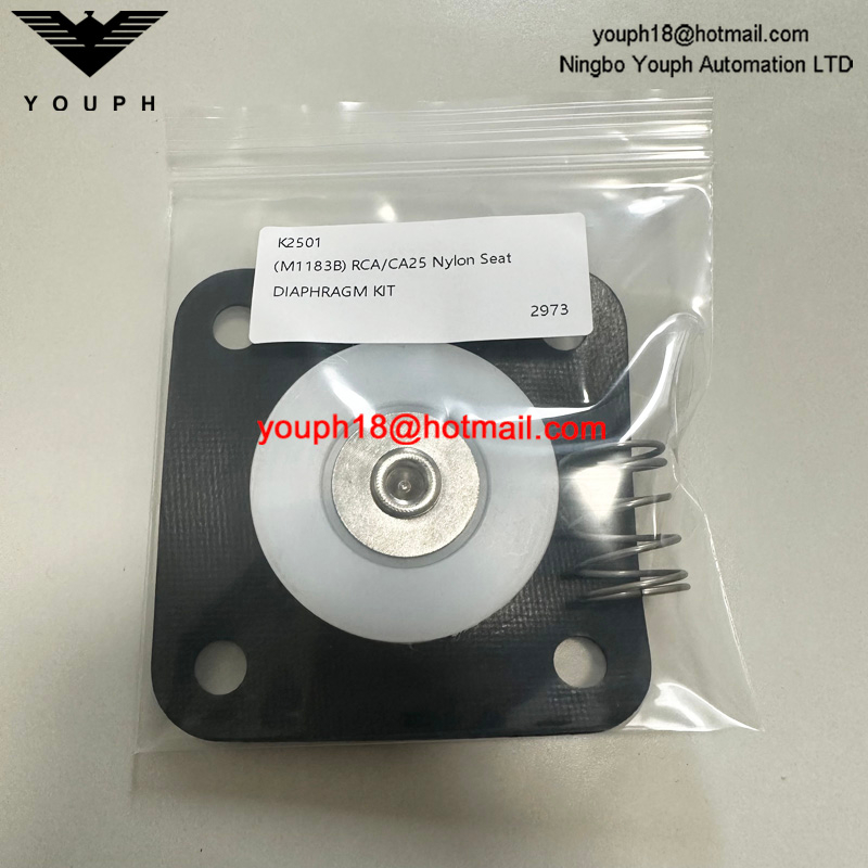 GOYEN K2501 M1183B CA25T RCA25T CA25DD2 Valve de vanne Buna Diaphragm Repait Kit