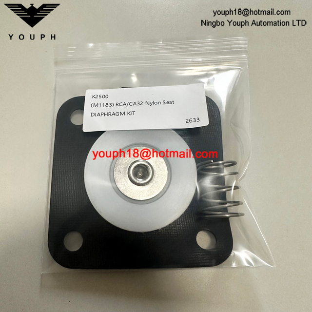 GOYEN K2500 M1183 CA32T RCA32T Kit de réparation de diaphragme de soupape de jet à jet d'impulsion RCA32T