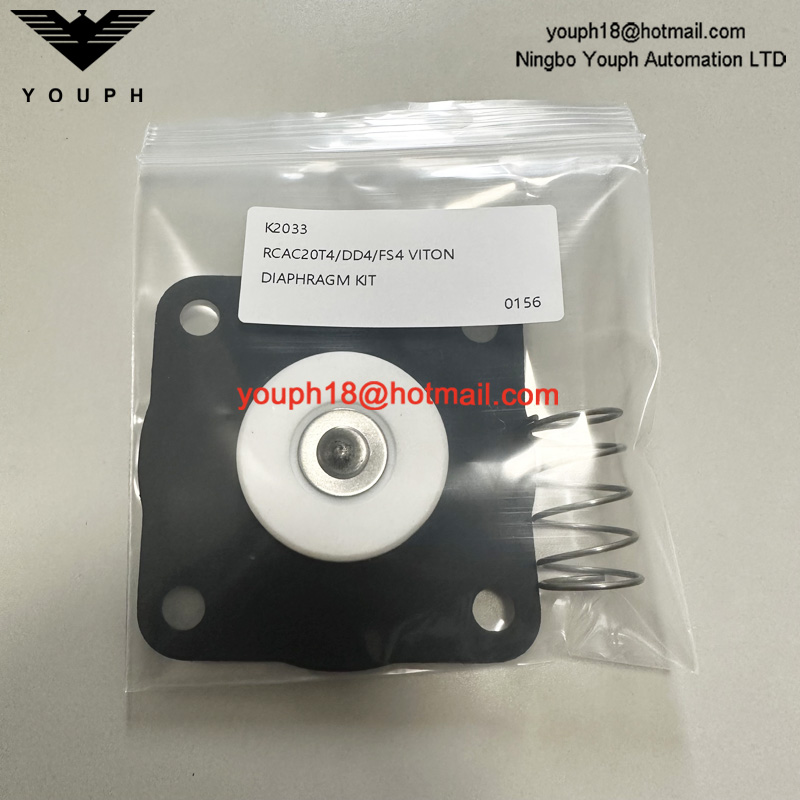 GOYEN K2033 RCAC20 RCAC20FS4 Kit de diaphragme de la vanne d'impulsion RCAC20ST4