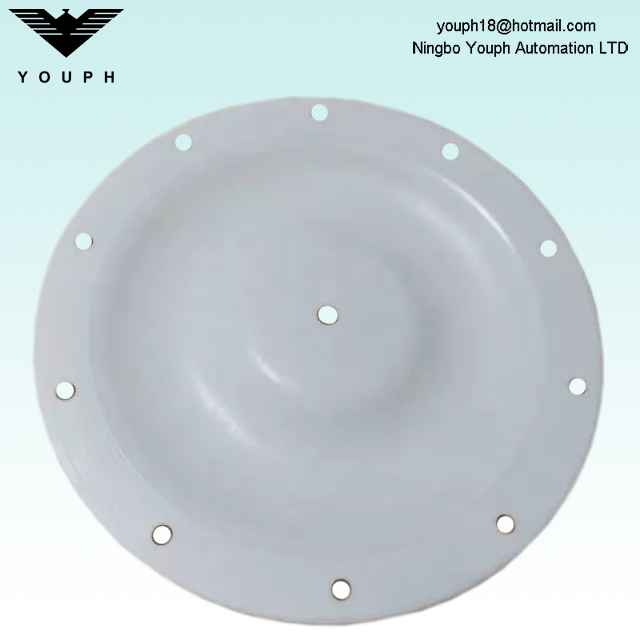 V227TF PTFE Diaphragm partie des pompes pneumatiques de la série Versa-Matic E40 E2HP