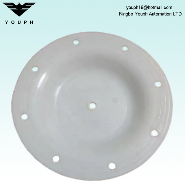 V183TF Versa-Matic E1 Series Pumps PTFE Diaphragm Pièces