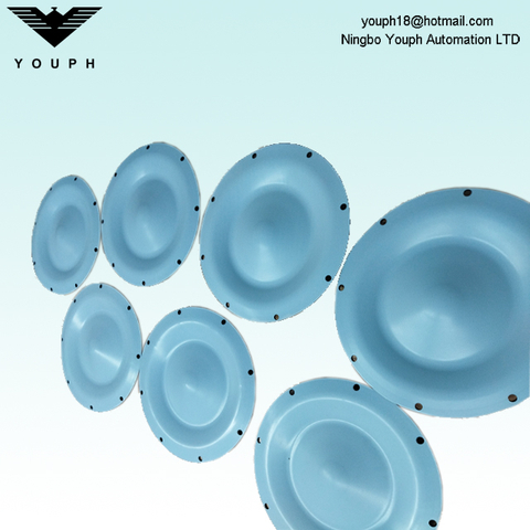 DM40 Dellmeco Diaphragm Pumps PTFE Membrane Exter Diamètre 259 mm avec 8 trous de boulon à bride