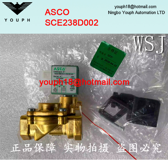 ASCO SCE238D002 G1 / 2