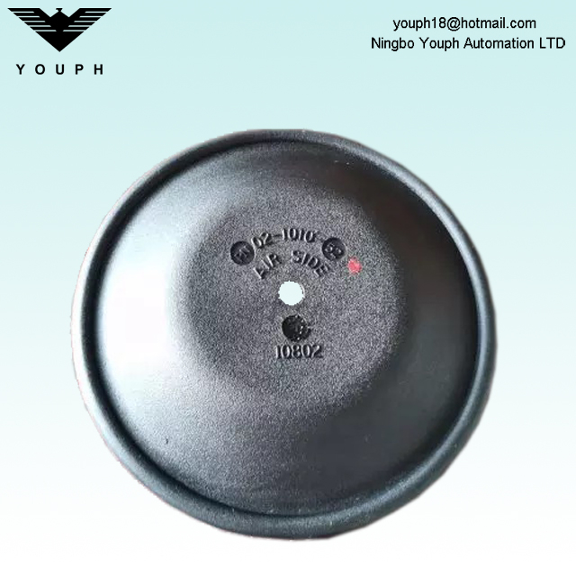 02-1010-52 Diaphragme Buna-N pour les pompes à diaphragme pneumatique de 1 pouce p200 T2