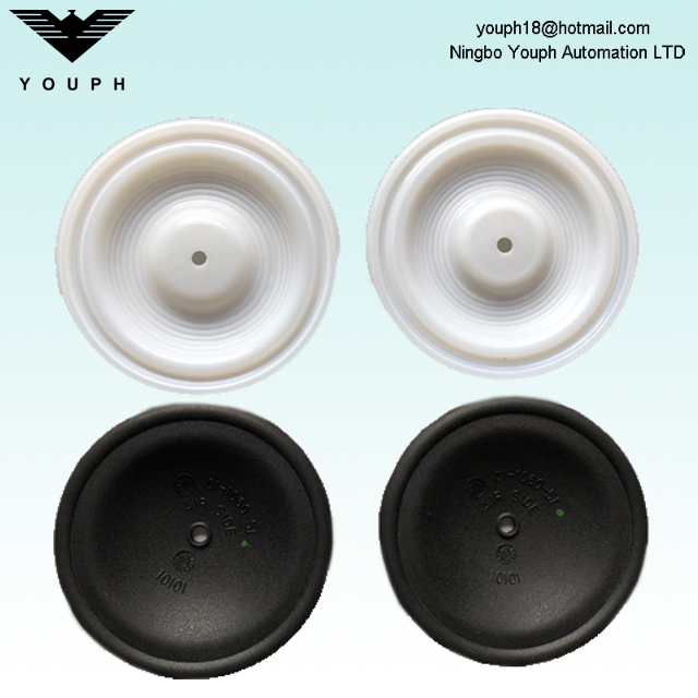 Wilden 01-1010-55 01-1060-51 Menbrane de pompes de diaphragme p1