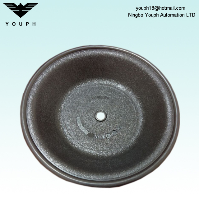 V163bn Diaphragm Part des pompes Versa-Matic E4