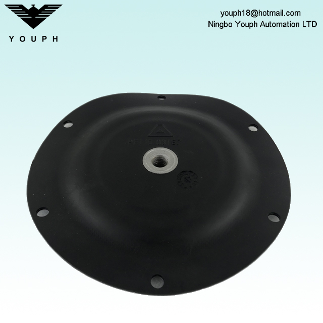 11503167 Partie diaphragme du composé PTFE / EPDM pour les pompes de série Almatec E15 E15TTT