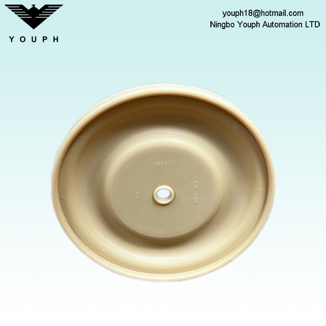 BSK Santoprene Diaphragm 6201-1 BA25AL BA25 BSK-25 Pompes à diaphragm ACCESSOIRES DIAMER UNE COMPRISE 180 mm