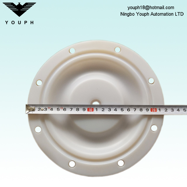 6202 PTFE Membrane Fit BSK - 25AL BA25AL Diphragm Pompes