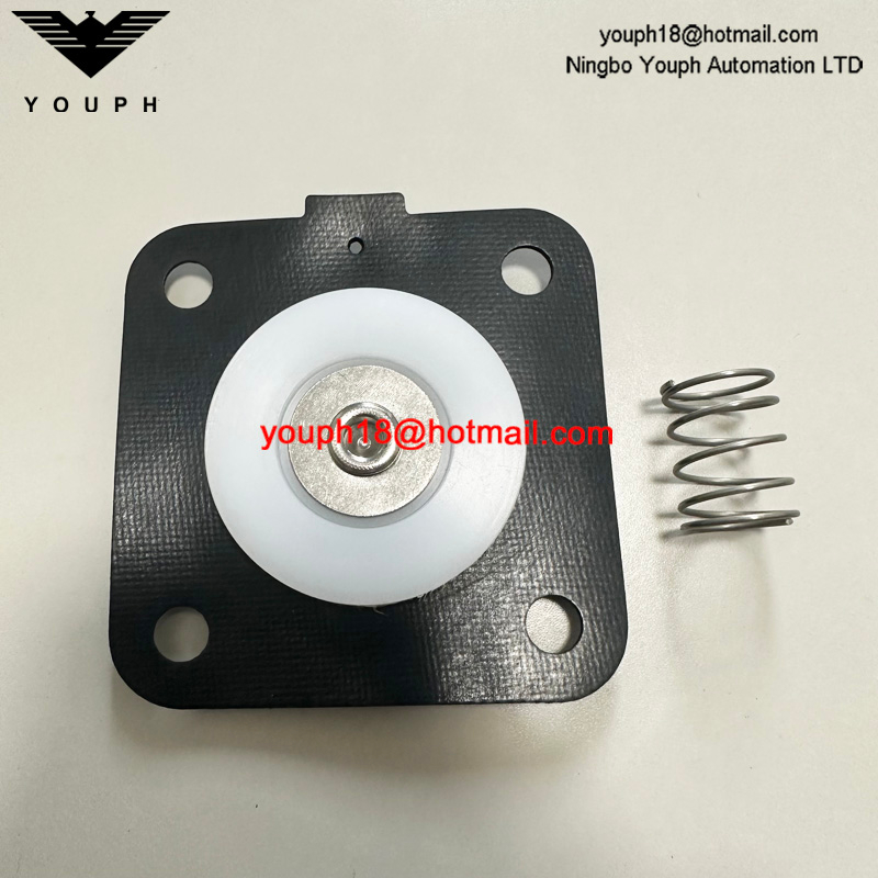 GOYEN K2501 M1183B CA25T RCA25T CA25DD2 Valve de vanne Buna Diaphragm Repait Kit