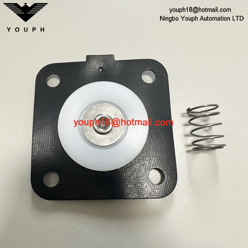 GOYEN K2501 M1183B CA25T RCA25T CA25DD2 Valve de vanne Buna Diaphragm Repait Kit