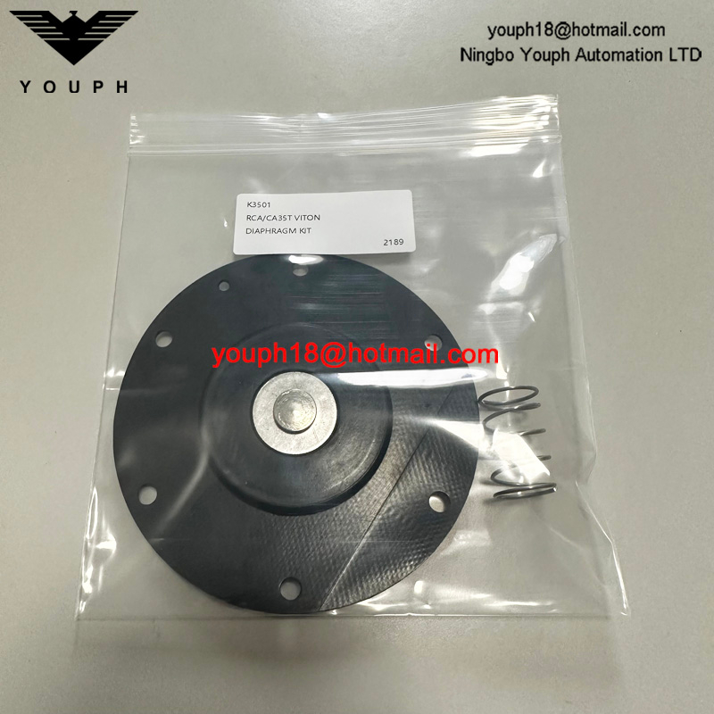 GOYEN K3501 RCA35T011 Valve de diaphragm CA / RCA35T Kit de réparation à haute température Viton
