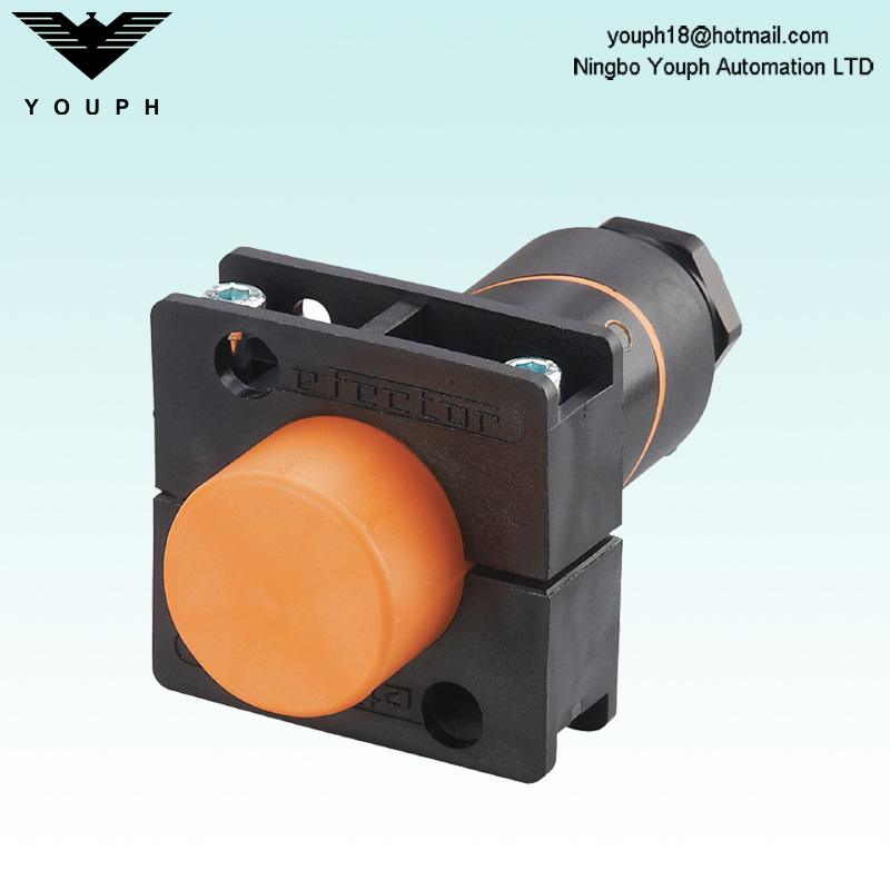 IFM IB5162 IBE3020-FPKG / US-100-KPX Capteur inductif