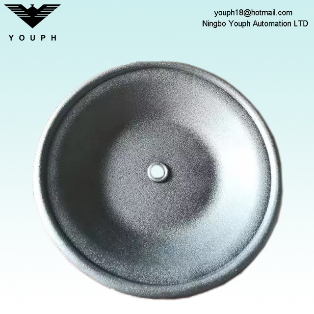 02-1010-52 Diaphragme Buna-N pour les pompes à diaphragme pneumatique de 1 pouce p200 T2