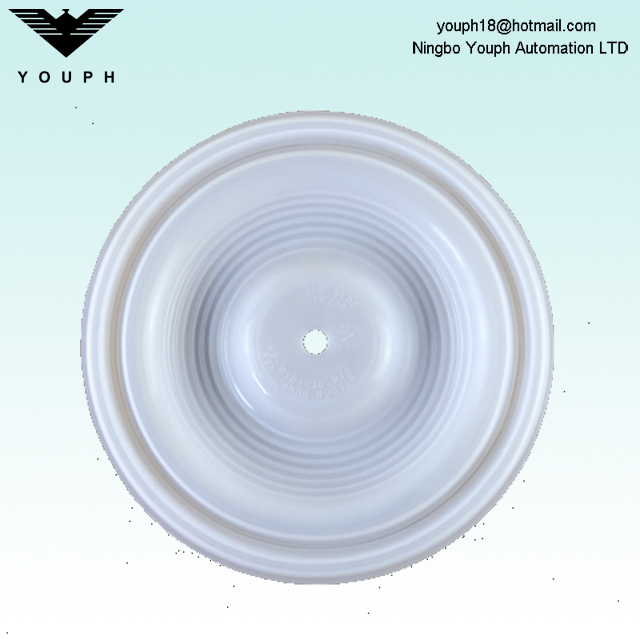 Wilden 01-1010-55 01-1060-51 Menbrane de pompes de diaphragme p1