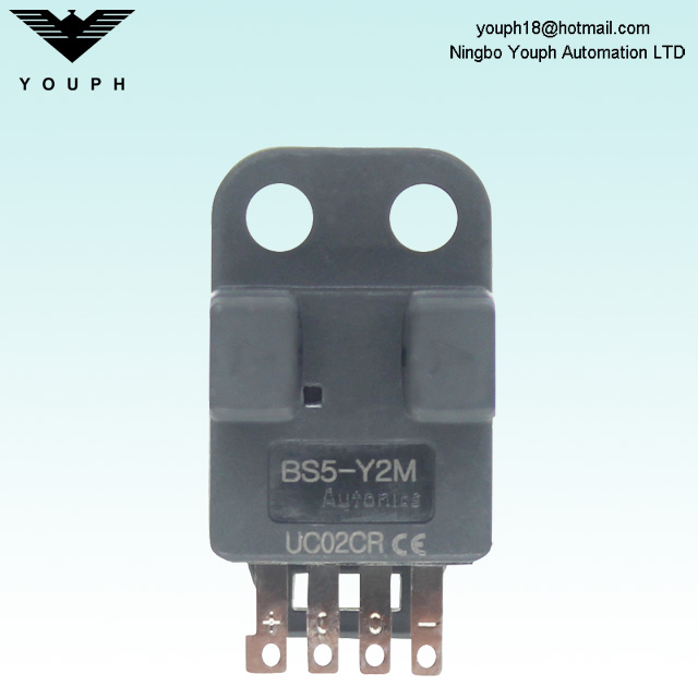 Amplificateur intégré Autonics BS5-Y2M