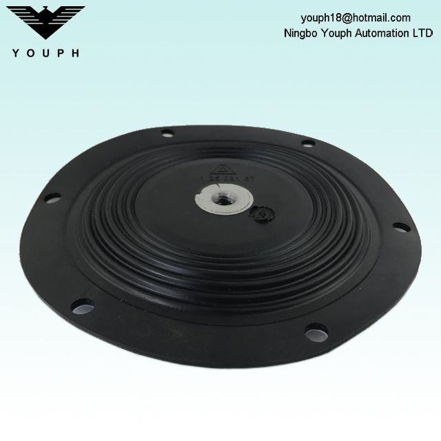 12503167 ALMATEC 1 pouce PTFE composé de diaphragme Diamètre 190 mm pour les pompes à membrane à air E25TTT E25ett