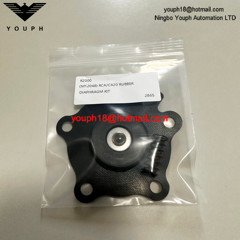 GOYEN K2000 M1204B CA20DD010-300 RCA20DD010 Mit de réparation de diaphragme de diaphragme de siège de soupape de jet d'impulsion RCA20D010