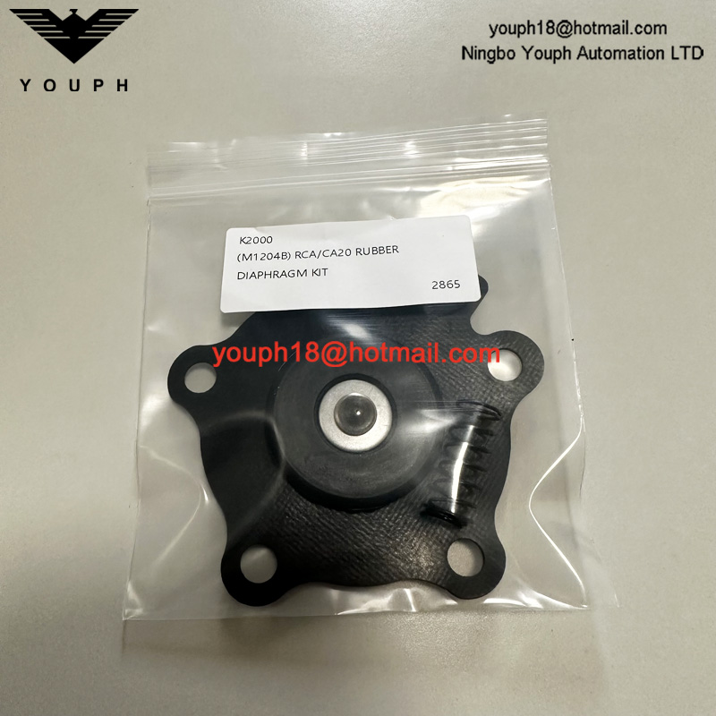 GOYEN K2000 M1204B CA20DD010-300 RCA20DD010 Mit de réparation de diaphragme de diaphragme de siège de soupape de jet d'impulsion RCA20D010