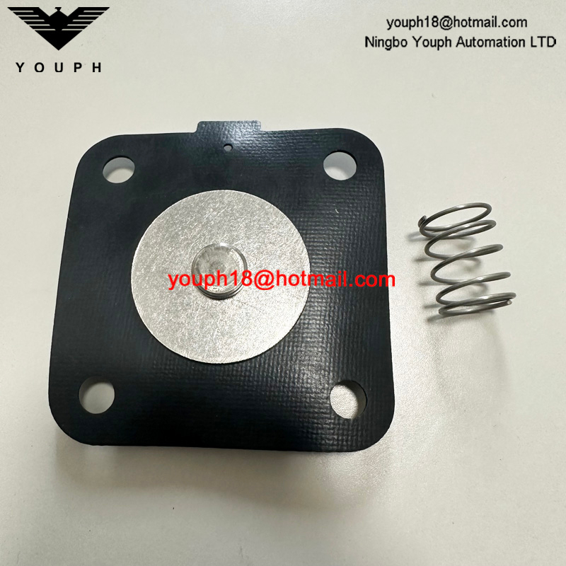 GOYEN K2501 M1183B CA25T RCA25T CA25DD2 Valve de vanne Buna Diaphragm Repait Kit