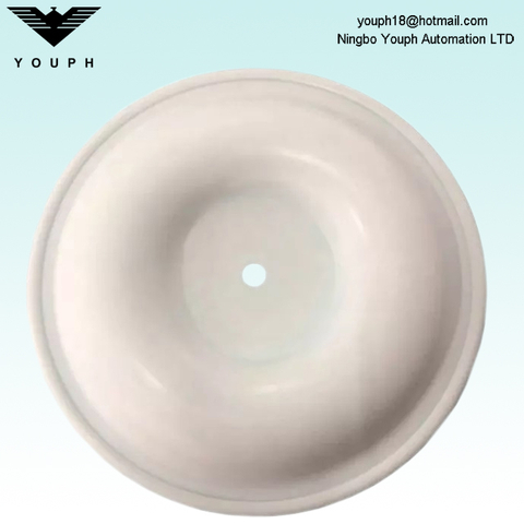 V305TF PTFE DIAPHRAGM Versa-Matic 3 pouces Série E3 Pumps Pompes Pose de membrane