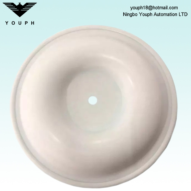 V305TF PTFE DIAPHRAGM Versa-Matic 3 pouces Série E3 Pumps Pompes Pose de membrane