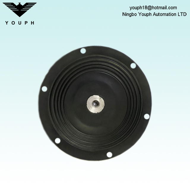 DM25 PTFE Diaphragm de Dellmeco DM25 / 125 POMPE DM25 / 125 TTT-NPT