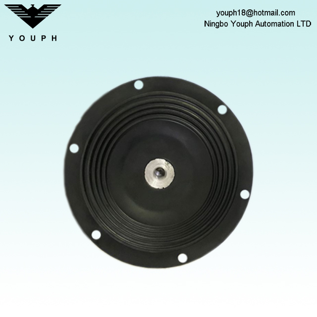 DM25 PTFE Diaphragm de Dellmeco DM25 / 125 POMPE DM25 / 125 TTT-NPT