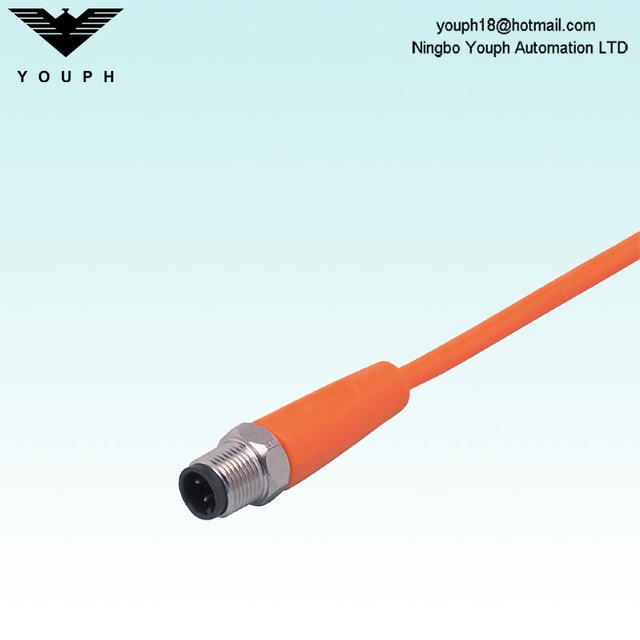 IFM EVT350 ASTGH040VAS0025E04 CONCRIPATION Câble avec fiche