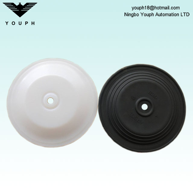 15R022 15R029 GRACO DIAPHRAGM DIAMETER 170 mm pour les pompes Husky 1050