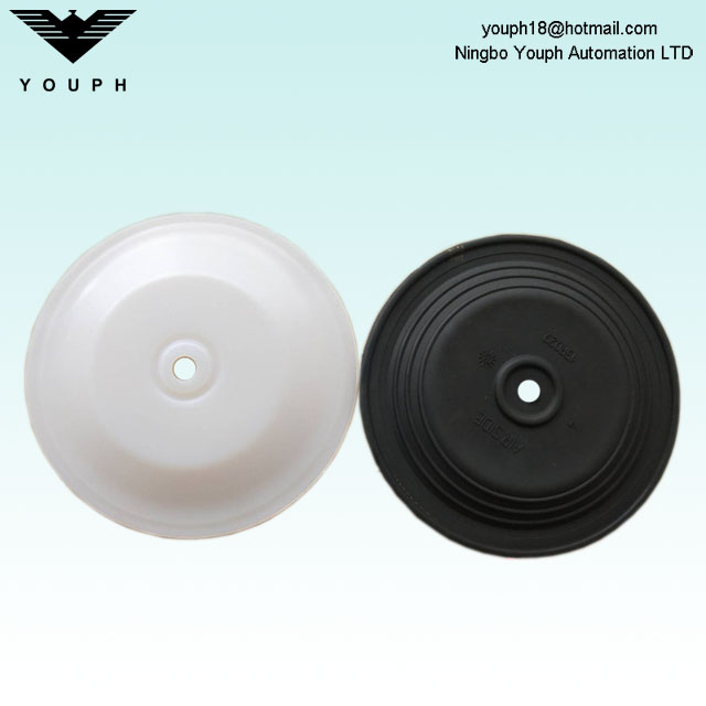 15R022 15R029 GRACO DIAPHRAGM DIAMETER 170 mm pour les pompes Husky 1050