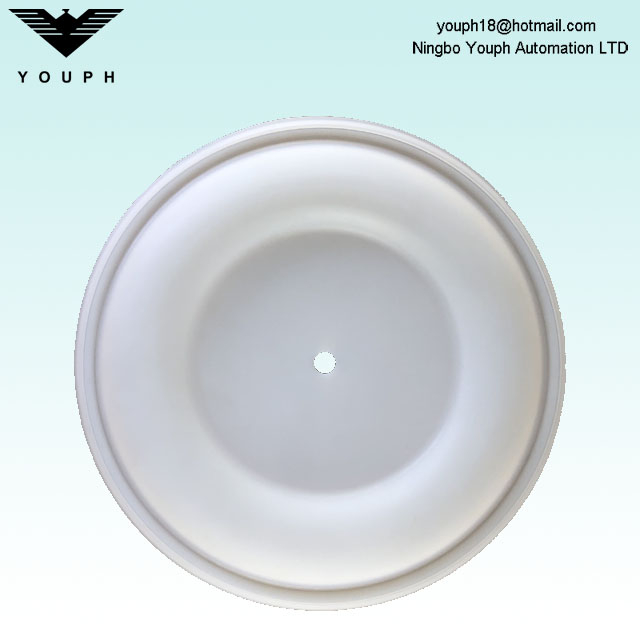 15K313 Husky 2150 2 'Pompe à diaphragme PTFE Diaphragm