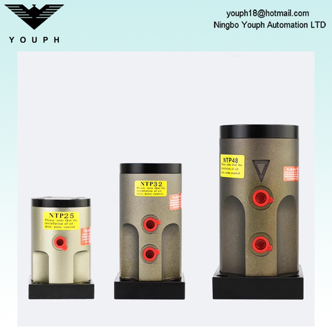 Netter NTP25 NTP32 NTP48 NTP Series Pneumatic Piston Vibrateur