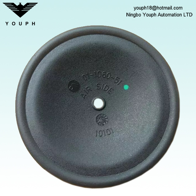 Wilden 01-1010-55 01-1060-51 Menbrane de pompes de diaphragme p1