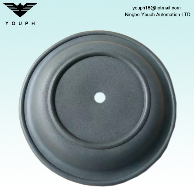 Wilden 08-1010-51 Diaphragme néoprène de 2 pouces Pombes P8 T8 Série 08.1010.51