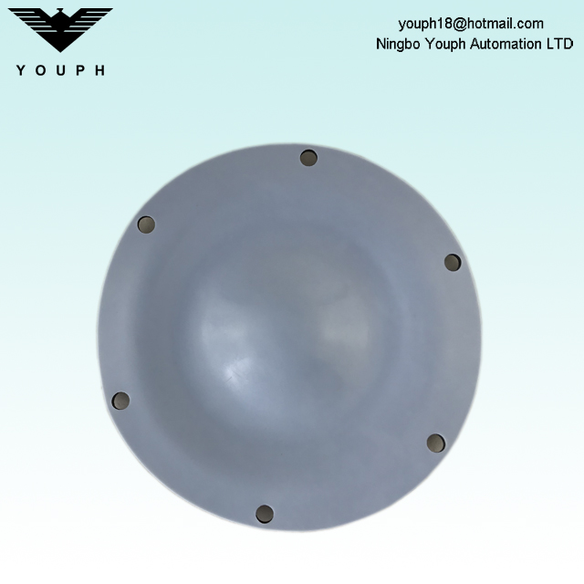 12503167 ALMATEC 1 pouce PTFE composé de diaphragme Diamètre 190 mm pour les pompes à membrane à air E25TTT E25ett