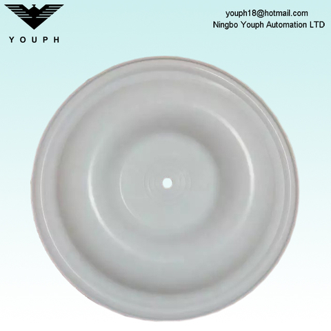 V224TF PTFE Diaphragm partie des pompes membranaires de la série Versa-Matic 2 pouces 