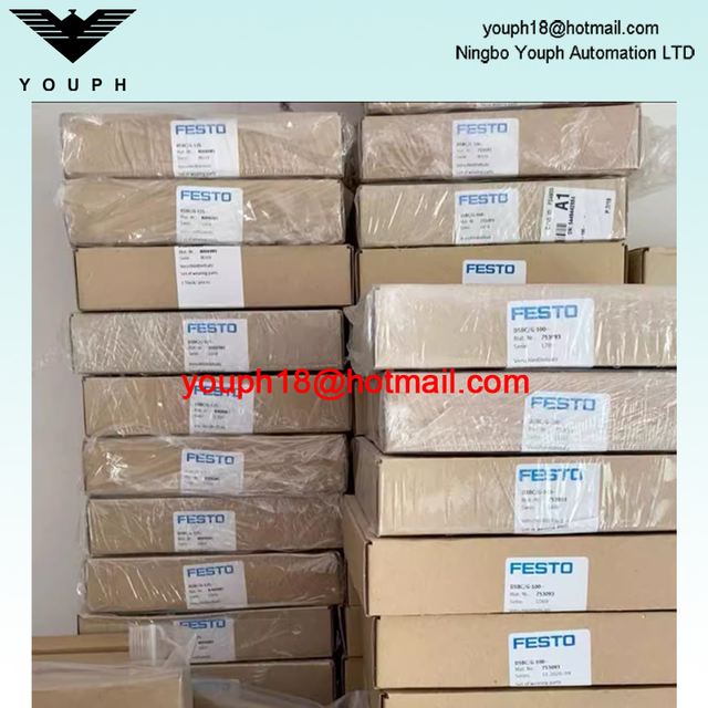 FESTO DSBC / G-100-- 753093 DSBC100 Cylinder Seal Set of Port Parts Repair Kit