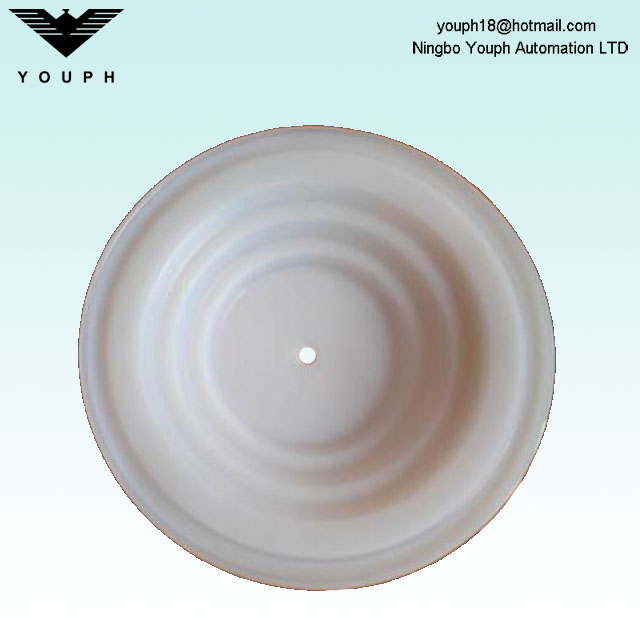 108839 HUSKY716 HUSKY515 VA15 VA20 PTFE Membrane D53211 Pumple de peinture Pumps DiAmphragm