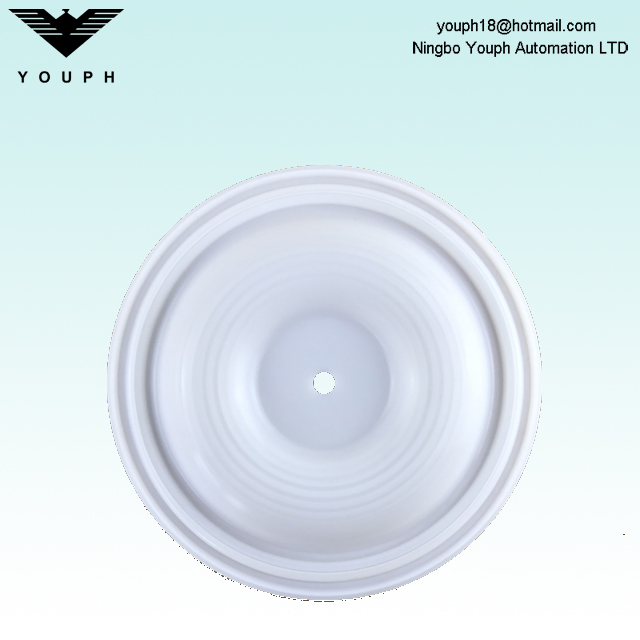 Wilden 02-1010-55 Membrane PTFE pour P2 P200 Pompes à diaphragme pneumatique 1 pouce